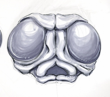 rscc9.jpg