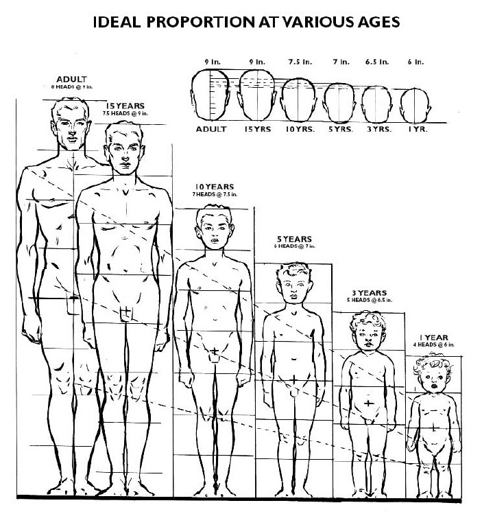 humanhead-bodyproportions.jpg
