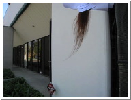 sampleEhairwaft.MOV