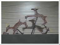 gazelles.MOV